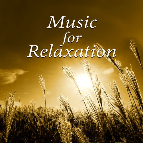 Background Music - Song Download from Music for Relaxation - Native  American Flute Meditation, Relaxing Nature Sounds Healing Music for Yoga, Instrumental  Music for Massage Therapy, Reiki Healing @ JioSaavn