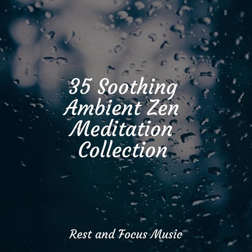 NUM Soothing Ambient Zen Meditation Collection_poster_image