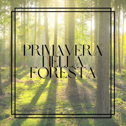 Relax infinito cover art