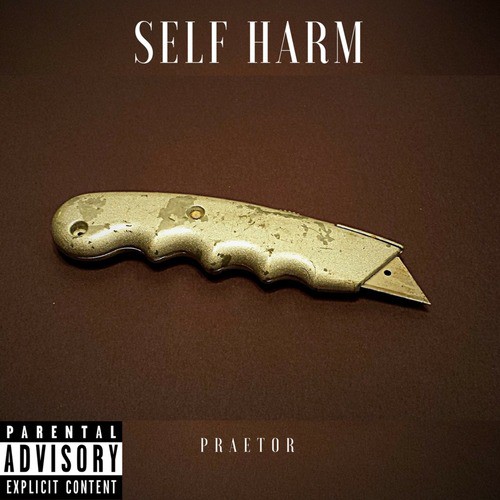 Self Harm_poster_image