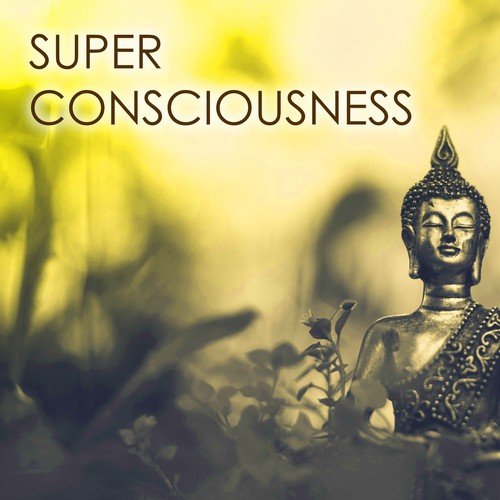 Super Consciousness - Practicing the Jhanas and Reaching First Jhana