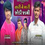 Tari Ne Mari Jodi Jami