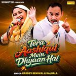 Tera Aashiqui Mein Dhyaan Hai