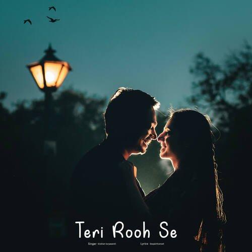 Teri Rooh Se_poster_image