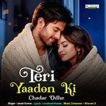 Teri Yaadon Ki Chadar Odhe_poster_image