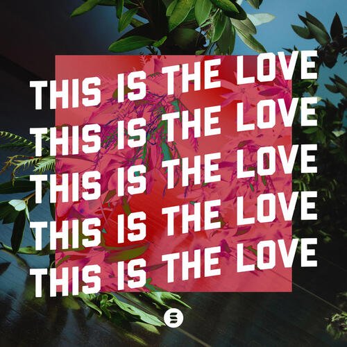 This Is The Love_poster_image