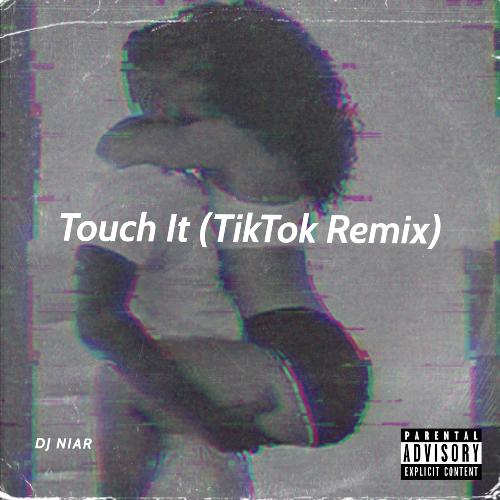 Touch It (TikTok Remix)