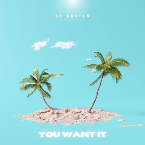 You Want It_poster_image