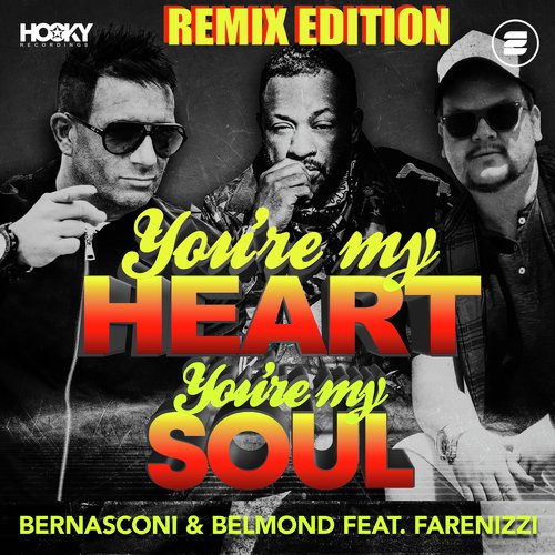 You're My Heart, You're My Soul (Remix Edition)_poster_image