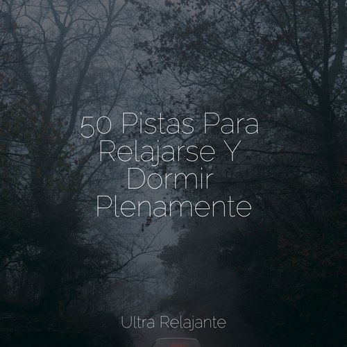 50 Pistas Para Relajarse Y Dormir Plenamente_poster_image