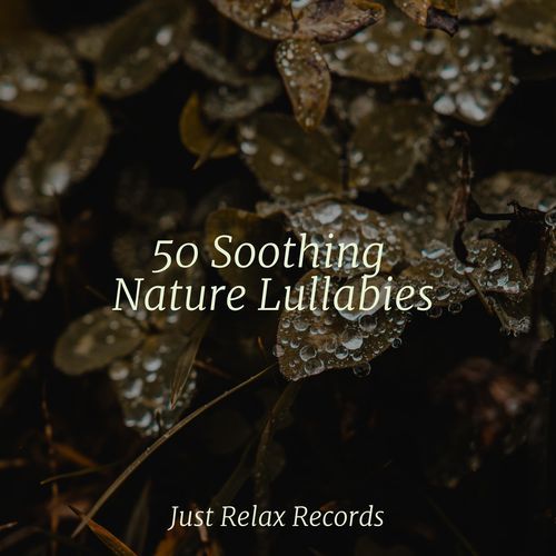 50 Soothing Nature Lullabies