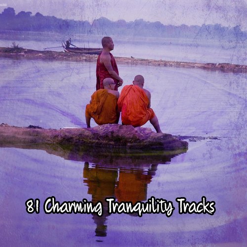 81 Charming Tranquility Tracks
