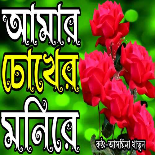 Amar Chokher Monire