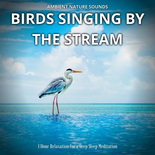 Soothing Sounds of Singing Birds cover art