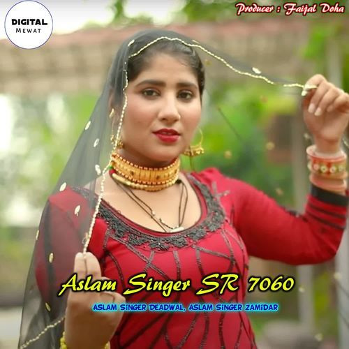 Aslam Singer SR 7060