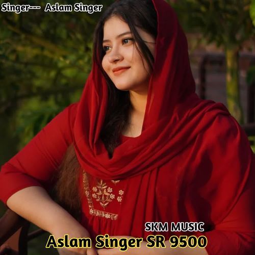 Aslam Singer Sr 9500