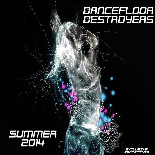 Dancefloor Destroyers Summer 2014