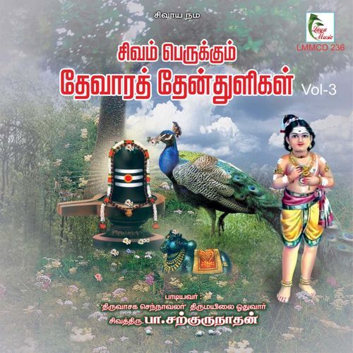 Kadaiyavane Enai (Thruvaasagam)