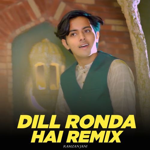 Dill Ronda hai Remix