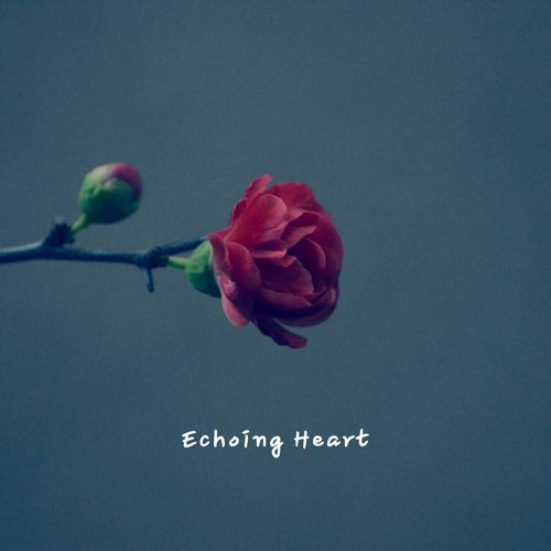 Echoing Heart