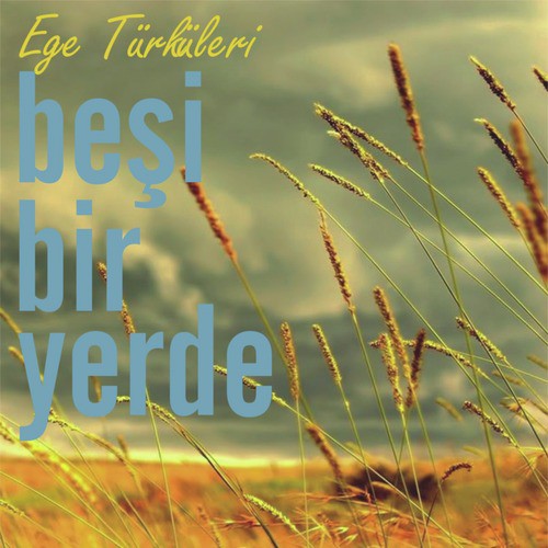 Çökertme cover art