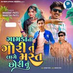 Gamda Ni Gori Tu Lage Mast Chhori Tu