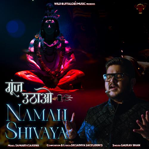 Goonj Uthao Namah Shivaya_poster_image