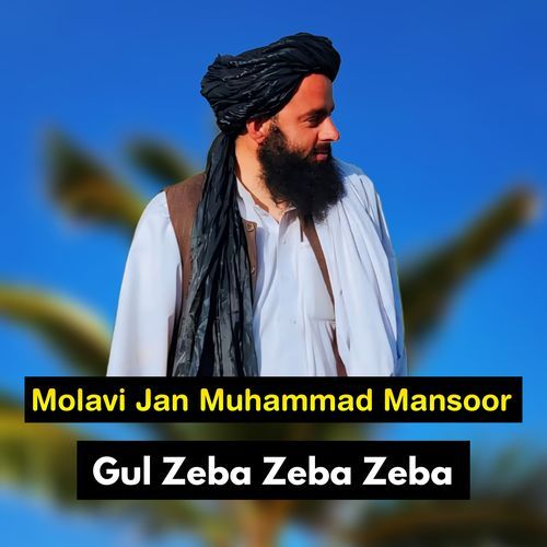 Gul Zeba Zeba Zeba