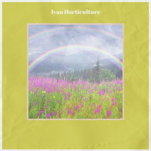 Farsighted Wander cover art