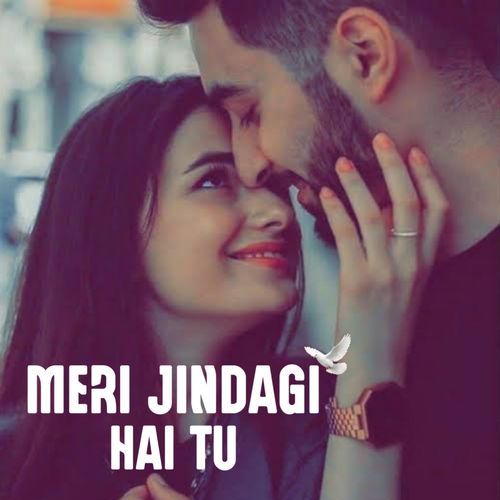 Meri Jindagi Hai Tu