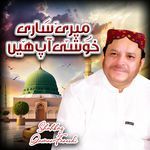 Sakhi Shahbaz Qalandar artwork