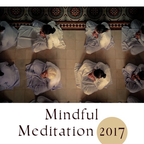 Mindful Meditation 2017