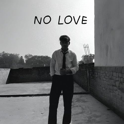 NO LOVE