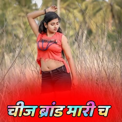 चीज ब्रांड मारी च