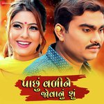 Paachu Vadi Ne Jovanu Shu