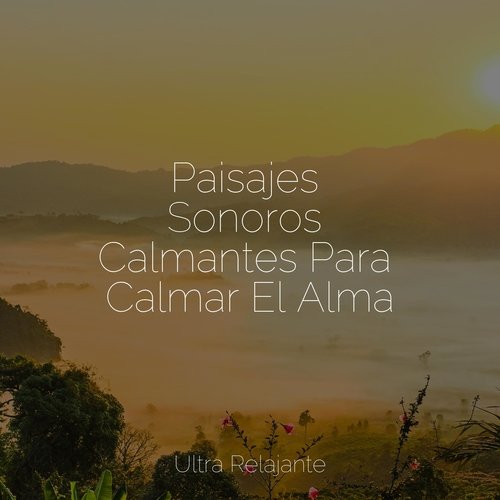 Boutique De Puestas De Sol cover art