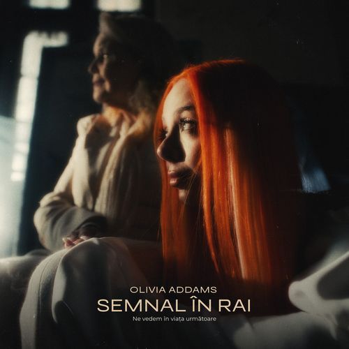 Semnal în Rai cover art