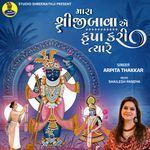 Shreeji Bawa a Krupa Kari Tyare