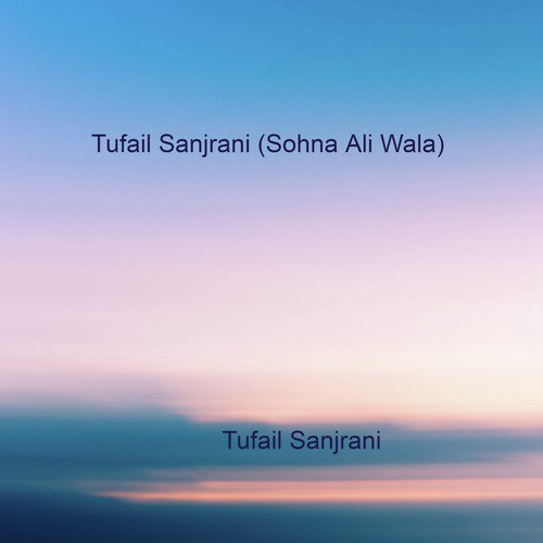 Tufail Sanjrani