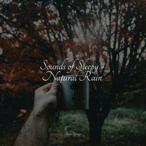 Sounds of Sleepy - Natural Rain