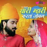 Thari Mhari Karta Joban