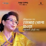 Tomar Khola Hawa (Live)