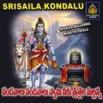 Vandanalu Vandanalu Swamy neeku Srisaila Mallanna artwork