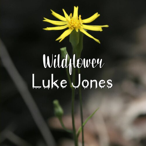 Wildflower_poster_image