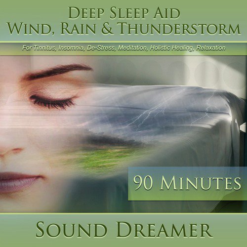 Wind, Rain &amp; Thunderstorm (Deep Sleep Aid) [For Tinnitus, Insomnia, De-Stress, Meditation, Holistic Healing, Relaxation] [90 Minutes]_poster_image