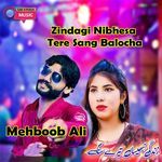 Zindagi Nibhesa Tere Sang Balocha