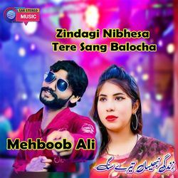 Zindagi Nibhesa Tere Sang Balocha