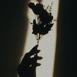 mera koi nahi hai yaara tere siwa