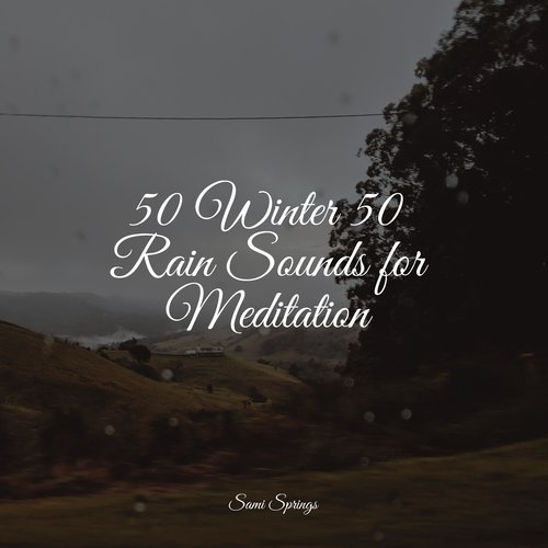 Rain, Storm and Thunder cover art
