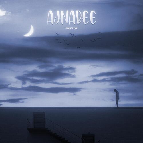 Ajnabee